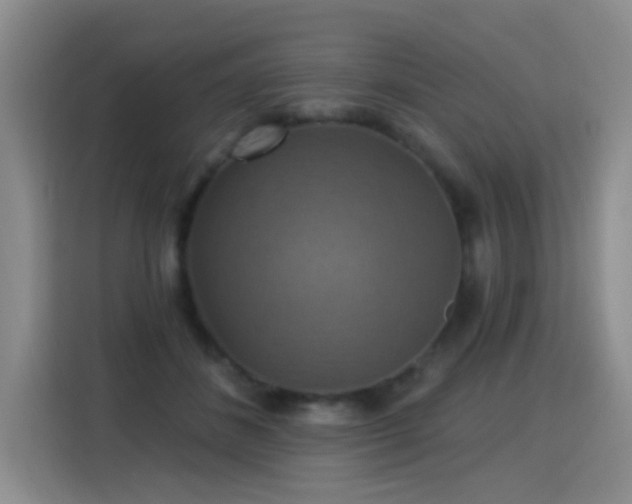 X0000115360508200911101159