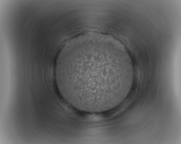 X0000115360511200911101159