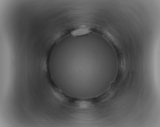 X0000115360512200911101159
