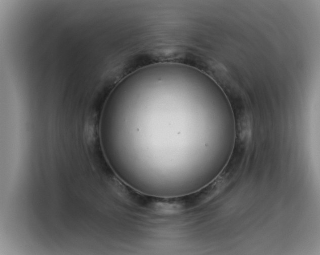 X0000115360515200911101159