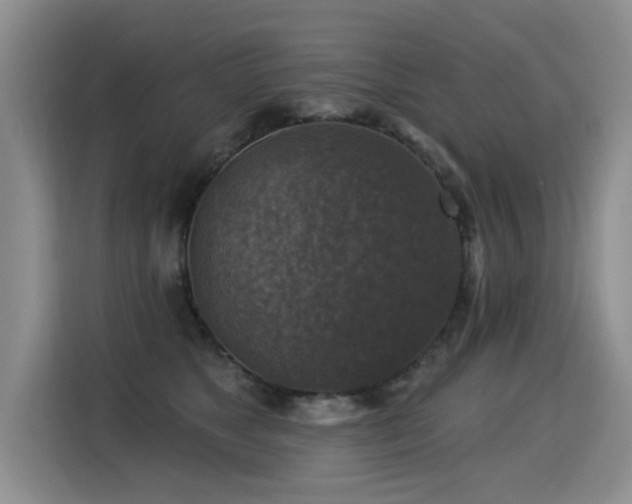 X0000115360517200911101159
