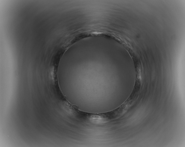 X0000115360519200911101159