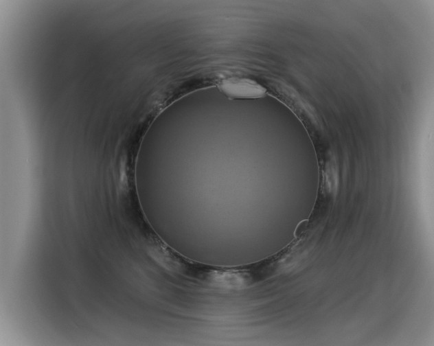 X0000115360520200911101159