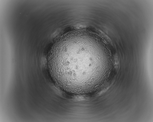 X0000115360523200911101159