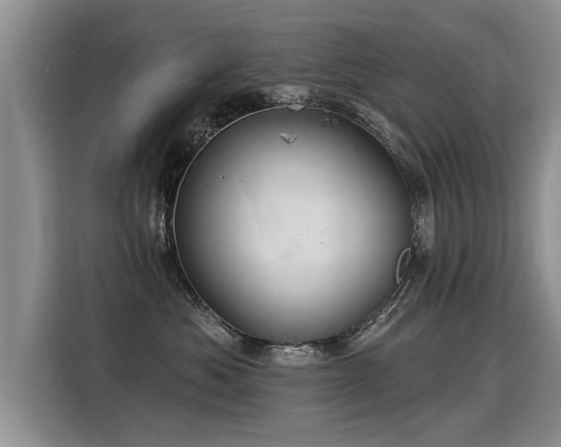 X0000115360525200911101159