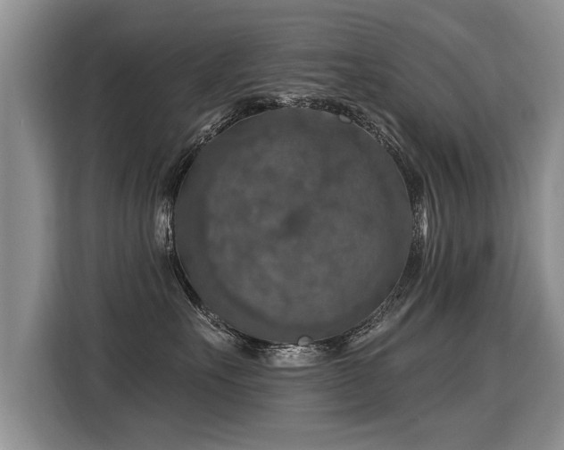 X0000115360527200911101159