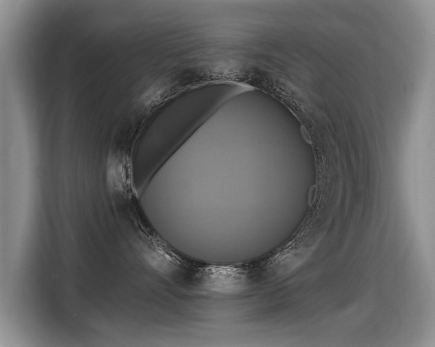 X0000115360528200911101159