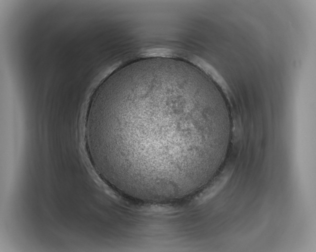 X0000115360529200911101158