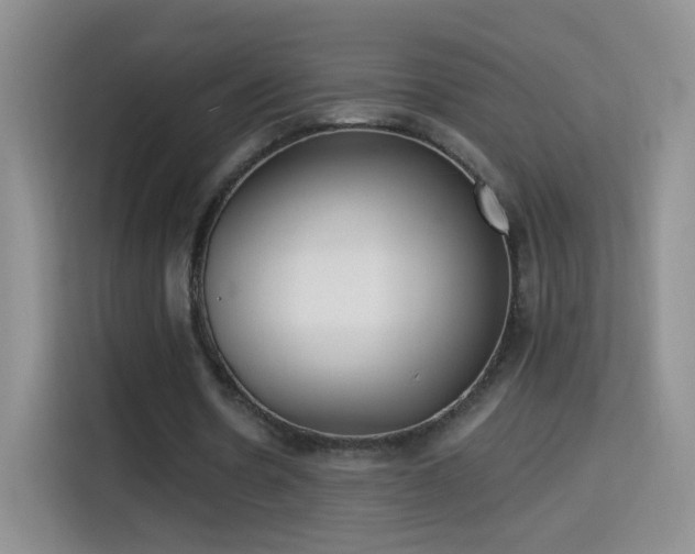 X0000115360530200911101158