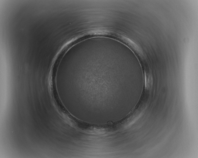 X0000115360531200911101158