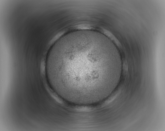 X0000115360533200911101158
