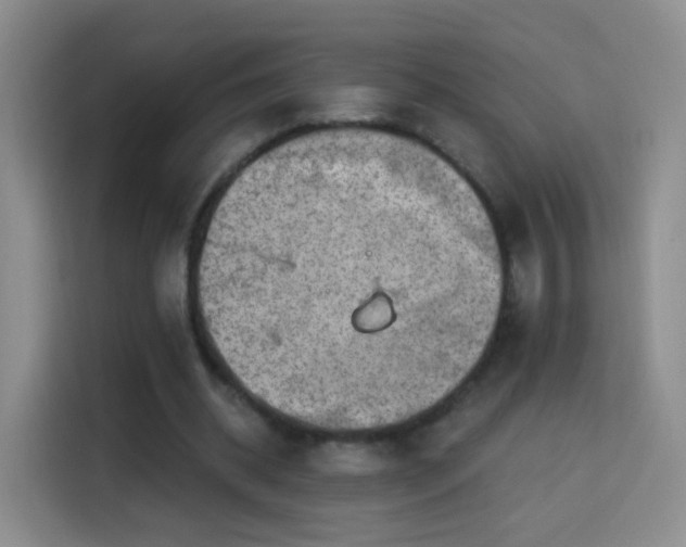 X0000115360534200911101158