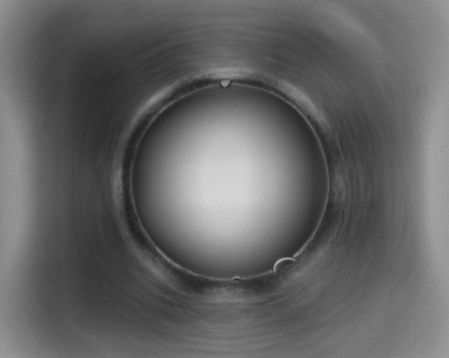 X0000115360535200911101158