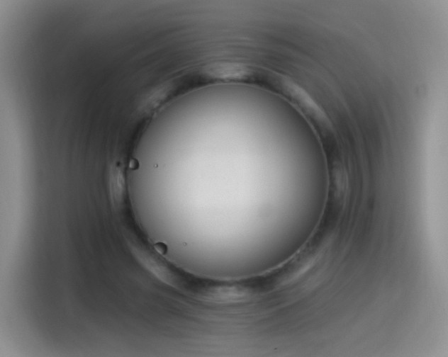 X0000115360541200911101158