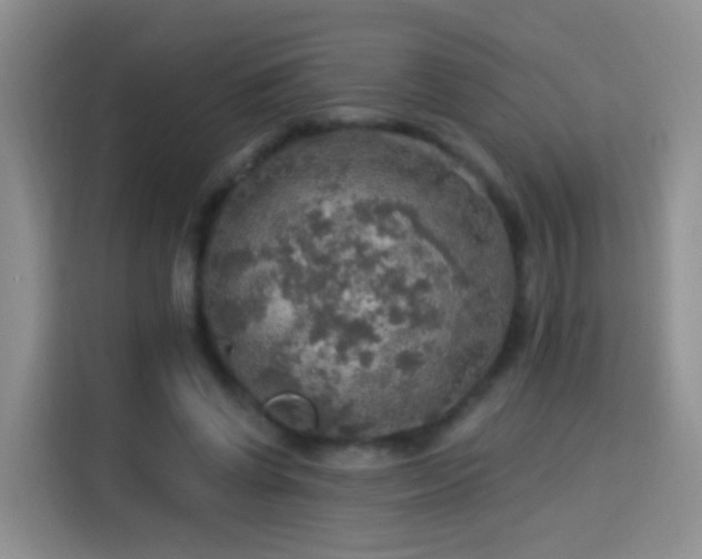 X0000115360542200911101158