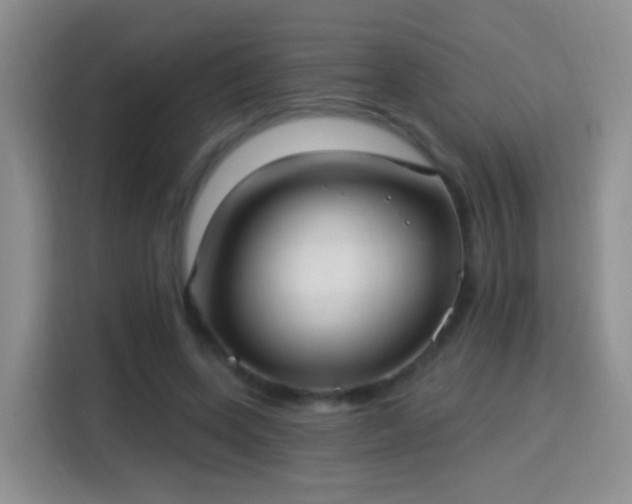X0000115360543200911101158