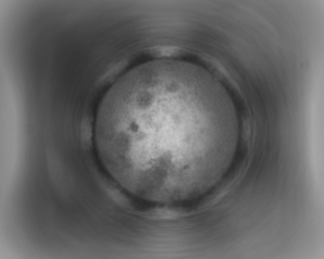 X0000115360545200911101158