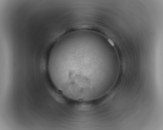 X0000115360546200911101158