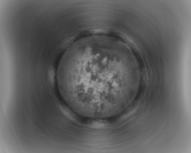 X0000115360550200911101158