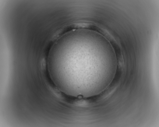 X0000115360551200911101158