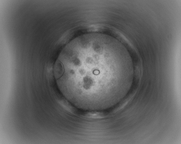 X0000115360557200911101159