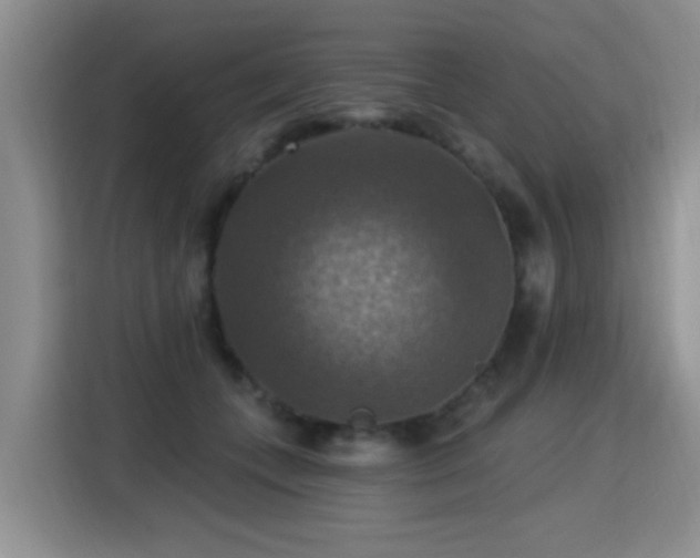 X0000115360559200911101159