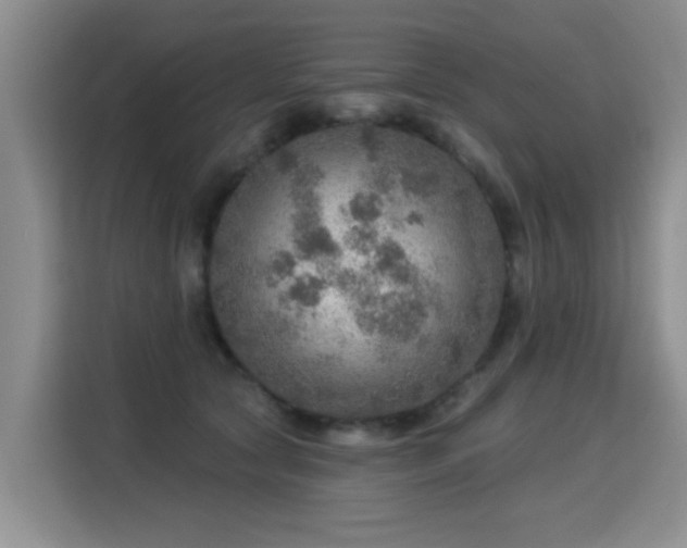 X0000115360561200911101159