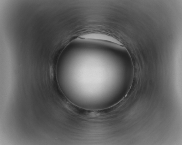X0000115360562200911101159