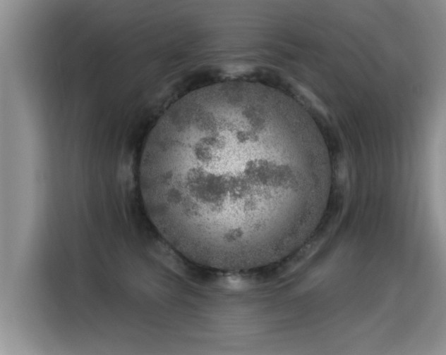 X0000115360565200911101159