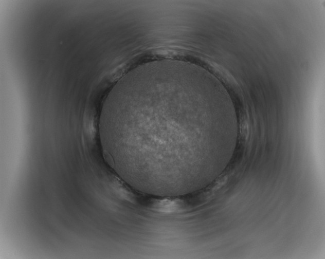 X0000115360566200911101159