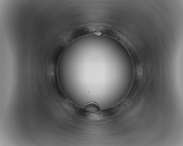 X0000115360567200911101159
