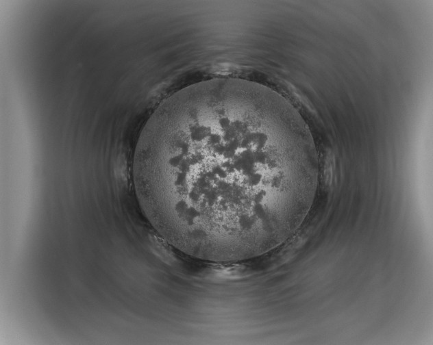 X0000115360569200911101159