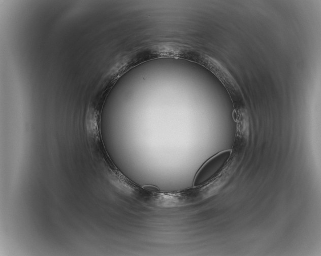 X0000115360573200911101159