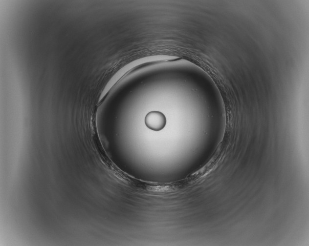 X0000115360575200911101159