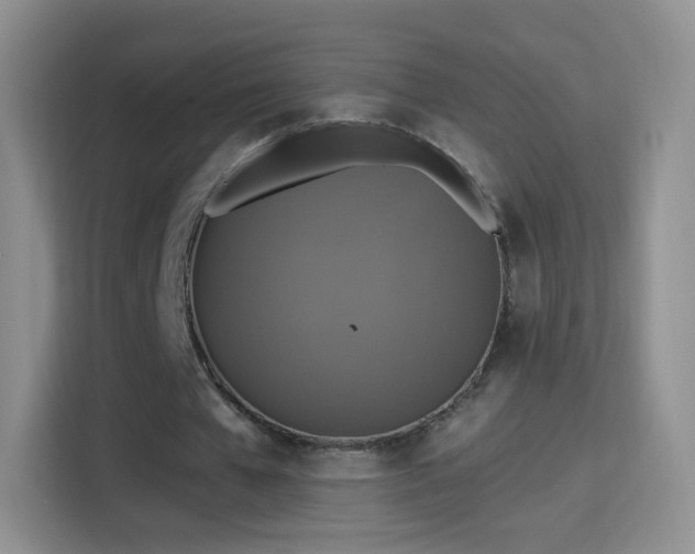 X0000115360577200911101158