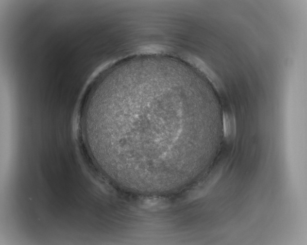 X0000115360579200911101158