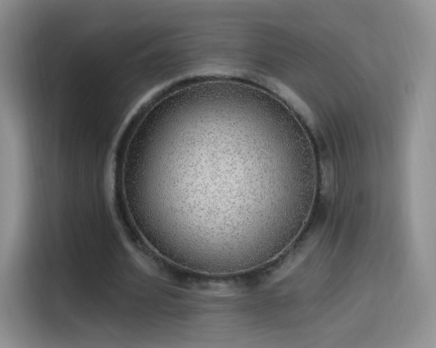 X0000115360580200911101158