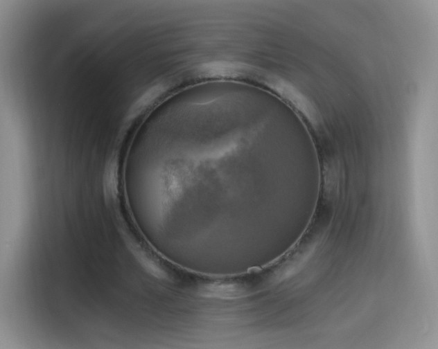 X0000115360581200911101158