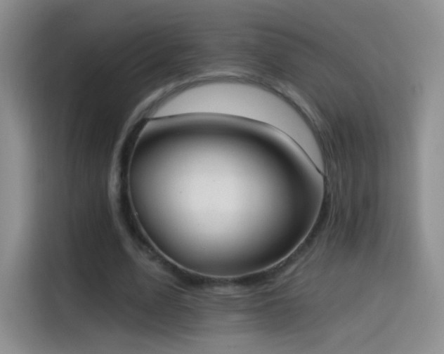X0000115360583200911101158
