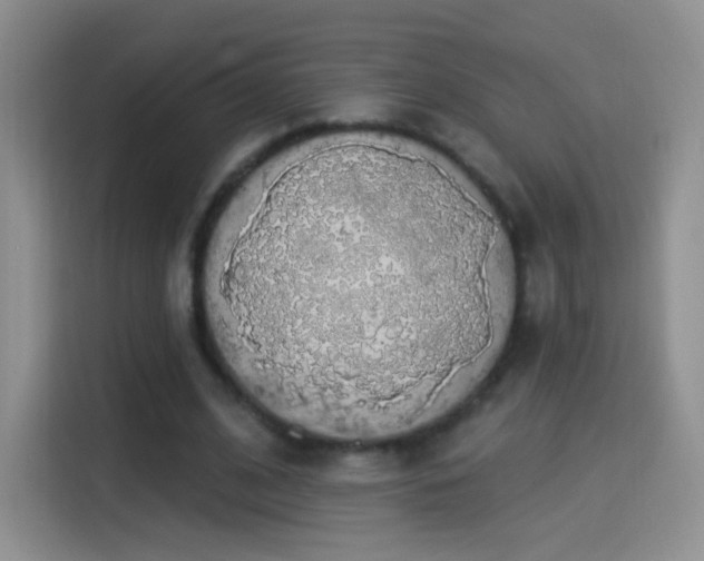 X0000115360584200911101158