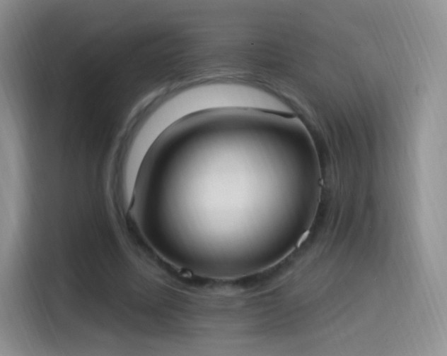 X0000115360587200911101158