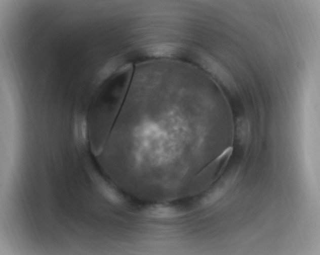 X0000115360589200911101158