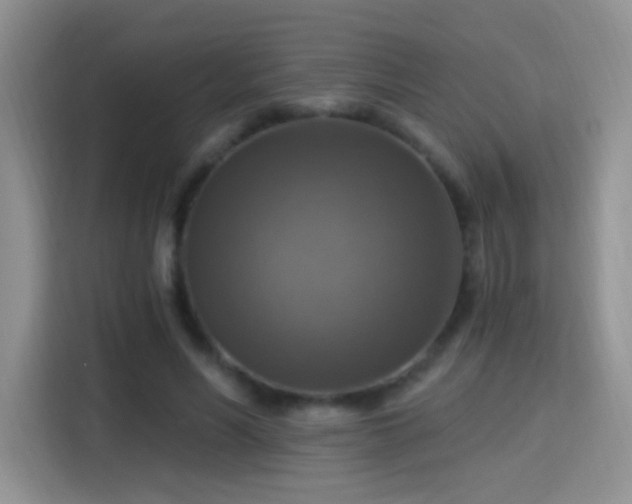 X0000115360590200911101158