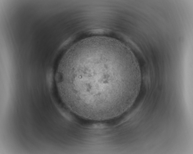 X0000115360591200911101158
