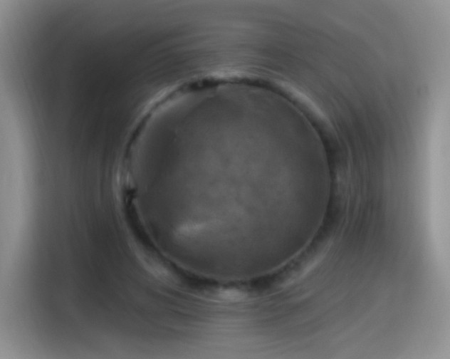 X0000115360592200911101158