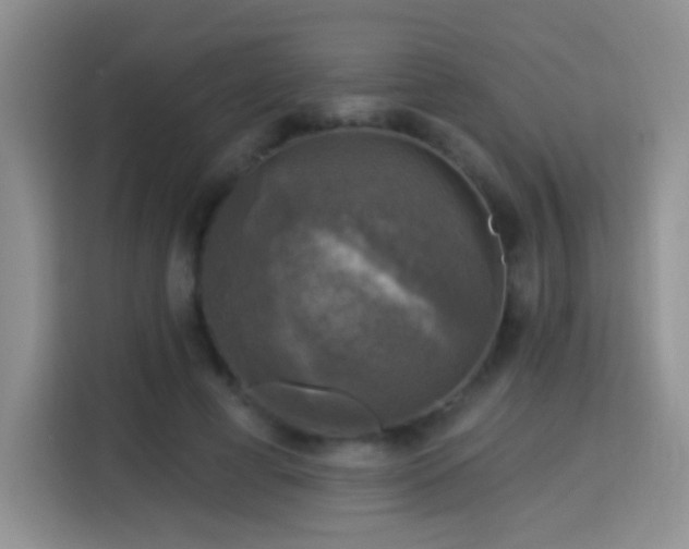 X0000115360593200911101158