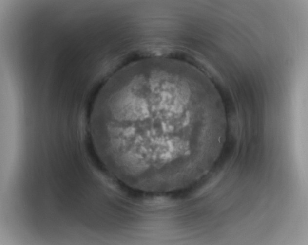 X0000115360594200911101158