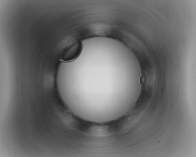 X0000115360595200911101158