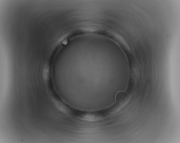 X0000115360596200911101158