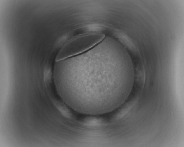 X0000115360597200911101158